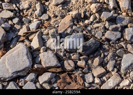 Nahaufnahme eines zerklüfteten Weges, bedeckt mit Steinen und getrockneten Blättern, getaucht in den warmen Glanz des Sonnenlichts. Auf diesem Bild werden die strukturierten s wunderbar erfasst Stockfoto