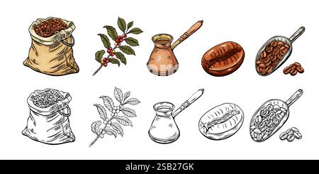 Gravur, Kaffeeskizze, Vektorillustration in Farbe und Linie. Kaffeesack, Bohnen, Zweig, Kaffee turk Stock Vektor