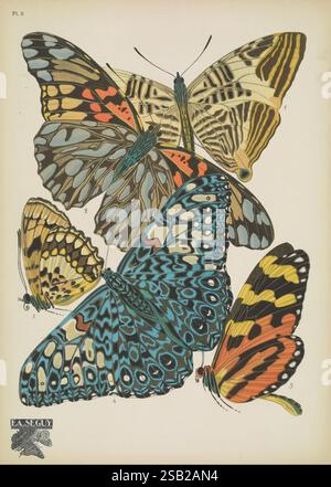 Papillons, Paris, Tolmer [ca. 1925], Schmetterlinge, Insekten, Arthropoden, schmetterlinge, Bildwerke, Dekoration und Ornamente, Tierformen, Dione moneta, Mechanitis doryssus, Gyaecia dirce, biblia antavara, Ageronia feronia, eine wunderschön illustrierte Sammlung von Schmetterlingen mit einer Vielzahl von auffälligen Mustern und Farben. Jeder Schmetterling ist nummeriert, was seine einzigartigen Eigenschaften hervorhebt. Die komplizierten Details der Flügel zeigen eine Reihe lebendiger Farbtöne, von kräftigen Blau- und Orangentönen bis hin zu sanften Gelb- und Schwarztönen. Das Kunstwerk betont die zarte Struktur ihrer Flügel mit o Stockfoto