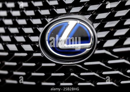 München, Deutschland. Januar 31, 2025. Das Markenlogo Lexus ist am 31. Januar 2025 auf dem Kühlergrill eines Autos des Automobilherstellers in München (Bayern) zu sehen. Lexus ist eine Automobilmarke der japanischen Toyota Motor Corporation, einem multinationalen Unternehmen und einem der größten Automobilhersteller der Welt. Quelle: Matthias Balk/dpa/Alamy Live News Stockfoto