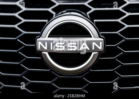 München, Deutschland. Januar 31, 2025. Das Markenlogo von Nissan ist am 31. Januar 2025 auf einem Fahrzeug der Marke in einer Niederlassung des Unternehmens in München (Bayern) zu sehen. Nissan ist ein japanischer Automobilhersteller. Quelle: Matthias Balk/dpa/Alamy Live News Stockfoto