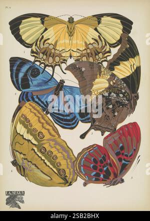 Papillons, Paris, Tolmer [ca. 1925], Schmetterlinge, Insekten, Arthropoden, schmetterlinge, Bildwerke, Dekoration und Ornamente, Tierformen, Hypna clytemnestra, stichophthalma camadeva, Helikopis acis, laxita tanita, Mesoemia croesus, Arthropod, dieses Kunstwerk zeigt eine Sammlung aufwändig gestalteter Schmetterlinge, die ihre lebendigen Farben und einzigartigen Muster hervorheben. Das Arrangement umfasst mehrere Arten, die alle sorgfältig detailliert sind, mit unterschiedlichen Flügelformen und -Texturen. Der obere Teil hat große, gelbe und cremefarbene Flügel mit auffälligen schwarzen Markierungen, während der untere Teil Stockfoto
