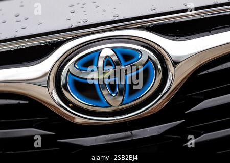 München, Deutschland. Januar 31, 2025. Die Ellipsen, das Markenlogo von Toyota, sind am 31. Januar 2025 auf dem Kühlergrill eines Autos des Automobilherstellers in München (Bayern) zu sehen. Die Toyota Motor Corporation ist ein multinationales Unternehmen und einer der größten Automobilhersteller der Welt. Quelle: Matthias Balk/dpa/Alamy Live News Stockfoto