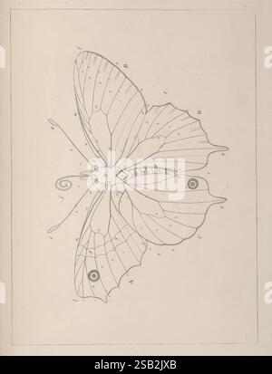 The Aurelian, London, Henry G. Bohn, 1840, Großbritannien, lepidoptera, Eine technische Illustration, die die Anatomie eines Schmetterlings darstellt, sorgfältig mit Buchstaben und Zahlen beschriftet, um verschiedene Teile seiner Struktur anzuzeigen. Der Schmetterling zeigt symmetrische Flügel mit unterschiedlichen Mustern, einschließlich kreisförmiger Markierungen. Ein zentraler Körper ist sichtbar und mit Details zur Segmentierung und Flügelvenen hervorgehoben. Die Illustration dient als Studienleitfaden, wahrscheinlich zu Bildungszwecken, und betont das komplizierte Design und die biologischen Merkmale des Schmetterlings. Stockfoto