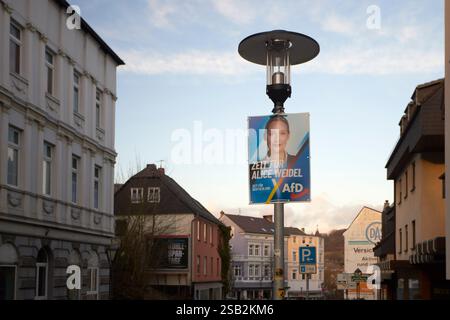 Arnsberg, NRW, 31 01 2025, Wahlplakat der AFD zur Bundestagswahl 2025 Stockfoto