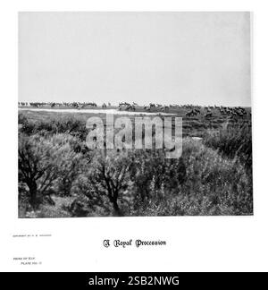 Hufe, Klauen und Geweihe der Rocky Mountains, vor der Kamera. Denver, Co. F.S. Thayer, 1894. Tiere, Bildwerke. Eine königliche Szene entfaltet sich, während eine Prozession von Elchen eine weite Landschaft durchquert, die von sanftem, sanftem Gelände und karger Vegetation geprägt ist. In der Ferne kann man eine Reihe majestätischer Elche sehen, die sich majestätisch bewegen, beleuchtet durch weiches, diffuses Licht. Eingerahmt von niedrigen Büschen und Gräsern im Vordergrund, fängt dieses Bild das Wesen der Wildnis ein und zeigt die Anmut und Schönheit dieser herrlichen Kreaturen. Der Titel unten unterstreicht die Bedeutung dieser Zusammenkunft und erinnert daran Stockfoto
