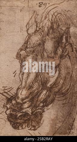 Leonardo da Vinci Zeichnung; da Vinci 'Kopf eines Pferdes' 1503-05; Skizze aus dem 16. Jahrhundert, Stift und braune Tinte auf Papier; Stockfoto