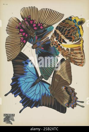 Papillons, Paris, Tolmer [ca. 1925], Tierformen, Schmetterlinge, Dekoration und Ornamente, Bildwerke, Insekten, Schmetterlinge, Lyropterix apollonia, Prothoekalydonie, Taxonomie binomial, Papilio ulysses telgonus, Arthropoda, Arthropode, Ulysses Butterfly, HSA., die Illustration zeigt eine Sammlung von detailreichen Schmetterlingen, die jeweils einzigartige Muster und leuchtende Farben hervorheben. Unter ihnen dominiert ein markanter blauer Schmetterling die Komposition, dessen weitläufige Flügel mit schillernden Tönen verziert sind, die mit Anklängen von Grün und Schwarz schimmern. Um sie herum sind andere Schmetterlingsarten, Kunststück Stockfoto