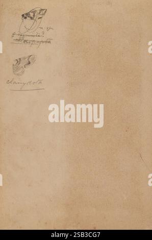 Entomologie, Philpott, Alfred, Sketch Book, 1925, Insekten, Neuseeland, Schmetterlinge, Neuseeland, Neuseeland, Neuseeland, Auckland war Memorial Museum Tāmaki Paenga Hira, Alfred Philpott, die Oberfläche zeigt eine leere Leinwand mit dezenten Texturen und Falten, die einen neutralen Hintergrund bilden. Auf der linken Seite befinden sich helle, handgezeichnete Skizzen verschiedener Formen, die möglicherweise abstrakte Formen oder Symbole anzeigen. Eine der Skizzen scheint einer fließenden Form zu ähneln, während eine andere eine geometrische Konstruktion aufweist. Neben t ist eine kurze handschriftliche Notiz zu sehen, die möglicherweise ein Konzept oder einen Titel angibt Stockfoto