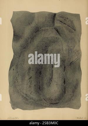 A Pictorial atlas of Fossil Remains, 1850, Paläontologie, Bildwerke, Ernst Mayr Library, Fossil Stories, Eine strukturierte Oberfläche mit verflochtenen, fließenden Linien, die eine abstrakte, organische Form schaffen, die einer stilisierten Darstellung natürlicher Elemente ähnelt. Die komplizierten Details und die unterschiedliche Dicke der Linien deuten auf Tiefe und Bemaßung hin und laden den Betrachter dazu ein, das Zusammenspiel von Form und Raum zu betrachten. Die Komposition ist von weichen Kanten eingerahmt, die die fließende Natur der zentralen Formen verstärken und ein Gefühl von Bewegung und Kontinuität hervorrufen. Stockfoto