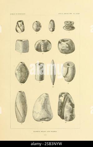 Kunst in der Hülle der alten Amerikaner Washington, Govt. Drucken, 1883 Antiquitäten Indische Kunst Muscheln in der Kunst viele Hüte von Holmes sinistrofulgur perversum busycon perversum hinnites giganteus crassa doma gigantea Perlen Haliotis californianus Kate Clifton Osgood Kate Clifton Osgood Holmes Kate Clifton Holmes Kate Osgood Holmes Kate Osgood Frauen in der Wissenschaft, Eine Sammlung von verschiedenen Meeresmuscheln, einschließlich Perlen und Perlen in einem strukturierten Layout. Die Artikel haben verschiedene Formen und Größen und zeigen die einzigartigen Texturen und natürlichen Muster in jeder Schale. Die Stockfoto