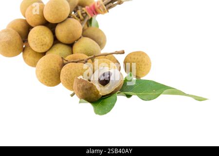 Longan isoliert auf weißem Hintergrund Stockfoto