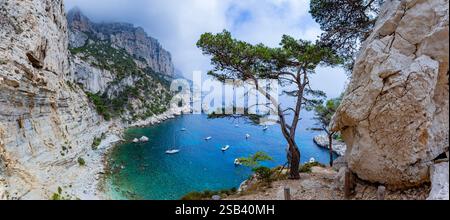 Frankreich, Bouches du Rhone, Marseille, Nationalpark der Calanques, Calanque de Sugiton Stockfoto