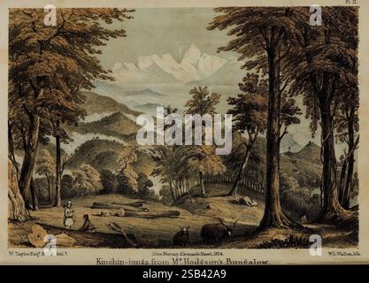 Himalaya Journals, London, J. Murray, 1854, Beschreibung und Reise, Himalaya Berge, Naturgeschichte, California Academy of Sciences, J.D. Hooker Mr. Hodgson, William Taylor Kinchinjunga, die Szene fängt eine ruhige Landschaft ein und zeigt eine ruhige natürliche Umgebung, die von hoch aufragenden Bäumen mit detaillierten Rindenmustern eingerahmt wird. Im Vordergrund befindet sich eine üppige Lichtung mit einer Mischung aus Grün, Wildblumen und Erdflecken. Sanfte Hügel Rollen im Hintergrund und führen hinauf zu majestätischen Bergen, die mit Schnee bedeckt sind und auf ihre Pracht hinweisen. Ein kurviger Pfad schlängelt sich durch diese malerische Umgebung, in Stockfoto