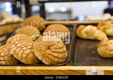 Traditionelles mexikanisches Süßbrot. Conchas. Stockfoto