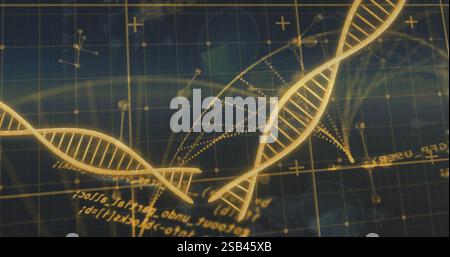 DNA-Stränge und mathematische Gleichungen auf wissenschaftlichem Gitterhintergrund Stockfoto