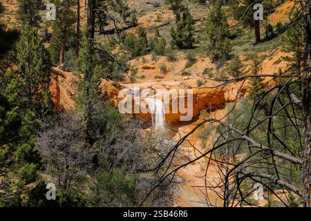 Blick auf den Tropic Ditch Wasserfall vom Mossy Cave Trail im Bryce Canyon National Park. Stockfoto