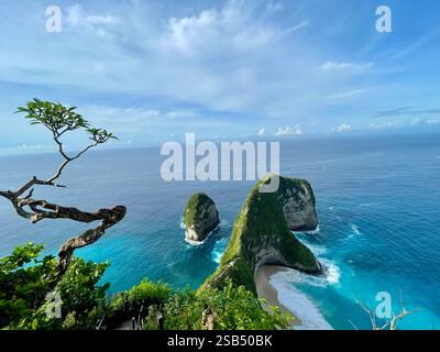 Kelingking Beach von Nusa Penida, Bali Indonesien Stockfoto