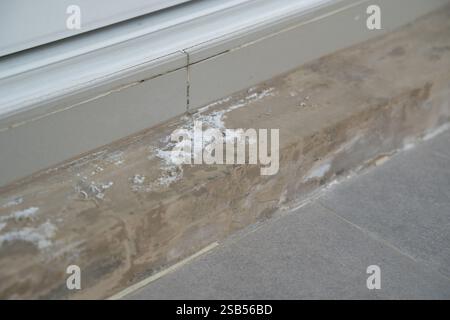 Pilz an der Wand nach der Flut eine Ziegelmauer mit einer weißen Farblinie. Stockfoto