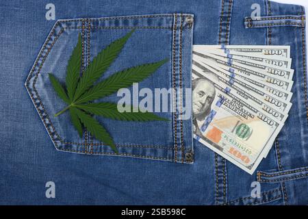 Hanfblatt in der Jeanstasche. Industrielles Hanfblatt auf Jeansstoff. Hanfblatt und Dollars in der Jeanstasche. Stockfoto