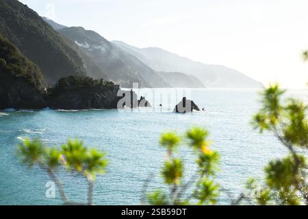 Blick auf die Mittelmeerküste im Nationalpark Cinque Terre, Ligurien, Italien. Landschaftsfotografie Stockfoto