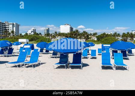 Miami, FL, USA - 30. März 2024: In Miami Beach gibt es Liegestühle und Sonnenschirme für einen schönen Urlaub. Stockfoto