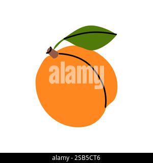 Ein reifer Pfirsich zeigt seinen leuchtend orangen Farbton, der mit einem grünen Blatt verziert ist. Die glatte Oberfläche und die natürliche Form der Frucht heben sich von dem sauberen weiß ab Stock Vektor