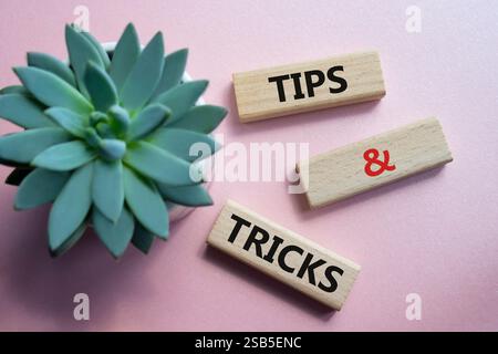 Symbol für Tipps und Tricks. Holzblöcke mit Worten Tipps und Tricks. Schöner rosafarbener Hintergrund mit saftiger Pflanze. Geschäftskonzept und Tipps und Tricks Stockfoto