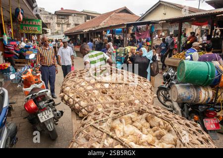 Afrika Tansania, Sansibar, Stonetown, Altstadt, Darajani, Markt, Mann, der einen Wagen mit lebenden Hühnern durch die Menge von Käufern zieht Stockfoto