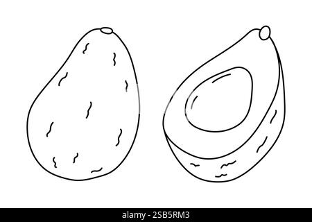 Eine handgezeichnete Illustration zeigt zwei Avocados, eine ganze und die andere in zwei Hälften geschnitten, die den Samen und das weiche Fleisch zeigen. Das Schwarz-weiß-Design e Stock Vektor