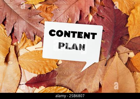 Weißes Schild mit dem Wort „Inhaltsplan“ wird auf einem Stapel Herbstblätter platziert Stockfoto