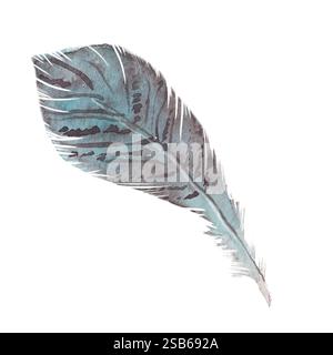 Vogelfeder Aquarellvektor-Illustration für grafisches Design Stock Vektor