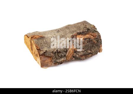 Einzelner Holzstamm, isoliert auf weiß Stockfoto