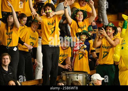 Stockholm, Schweden. Februar 2025. STOCKHOLM, SCHWEDEN 20250201 australische Fans, „Dundees“ im Publikum während des Singles-Spiels zwischen Leo Borg und John Peers im Davis Cup-Spiel zwischen Schweden und Australien in der Royal Tennis Hall in Stockholm, Schweden. Foto: Jonas Ekströmer/TT/Code 10030 Credit: TT News Agency/Alamy Live News Stockfoto