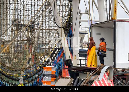 Le Havre, Frankreich, Europa - 16. Januar 2025: Hafenarbeiter beladen einen LKW mit Kisten mit frischem Fisch von einem Trawler Stockfoto