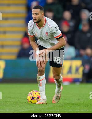 Bournemouth, Großbritannien. Februar 2025. Bournemouth Bournemouth, England, 1. Februar 2025: Cody Gakpo aus Liverpool während des Premier League-Fußballspiels zwischen Bournemouth und Liverpool im Vitality Stadium in Bournemouth, England. (David Horton/SPP) (David Horton/SPP) Credit: SPP Sport Press Photo. /Alamy Live News Stockfoto