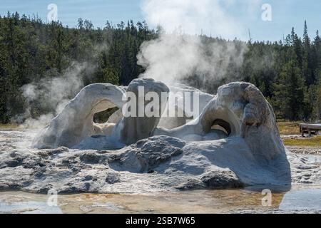 Der große Kegel des Grotto Geyser im Upper Geyser Basin des Yellowstone National Park Stockfoto
