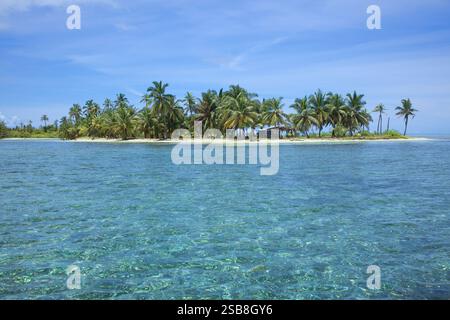 Insel in East Hollandaise in der Inselgruppe San Blas (Kuna Yala) entlang der Karibikküste Panamas Stockfoto