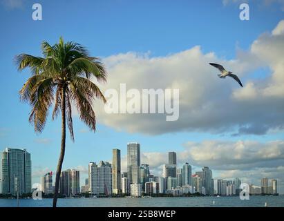 Blick auf die Skyline von Miami bei Sonnenuntergang von der Biscayne Bay. Miami, Florida, USA. Stockfoto