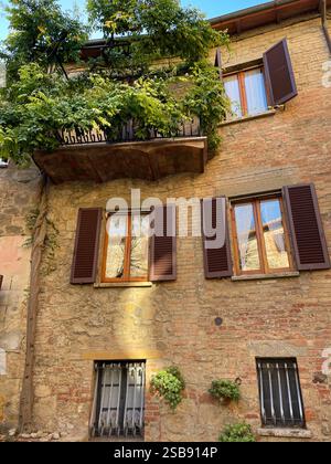 Charmante traditionelle Steinhäuser im mittelalterlichen Dorf Monticchiello, Italien. Große Pflanze, die auf einem Balkon wächst. Stockfoto