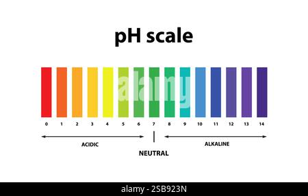 PH-Skalendiagramm-Wert. Lackmustest. Stock Vektor