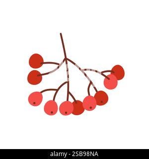 Rowan Ast, Aschbeere isoliert auf weiß, Aquarell Stock Vektor