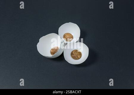 Geldsparkonzept. Münze in den Eierschalen. Stockfoto