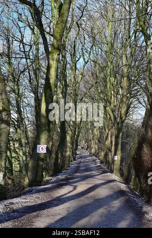 In Großbritannien: Die „Old Tramway“, die zum River Ribble führt. Neuer Straßensockel für den Transport schwerer Geräte bis zum Brückengelände installiert. Stockfoto