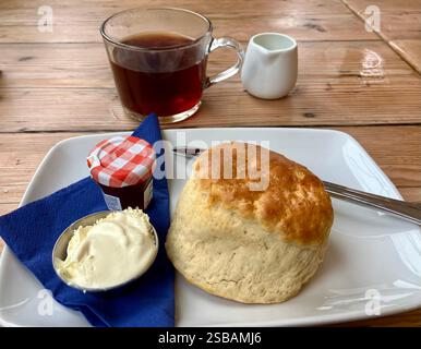 Devon Cream Tea mit Erdbeermarmelade, Clotted Cream und Tee Stockfoto
