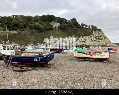 Farbenfrohe Fischerboote am Strand in Beer, Devon Stockfoto