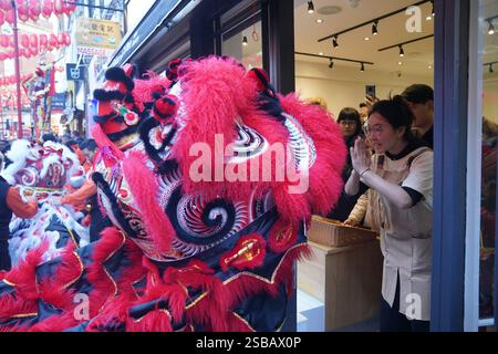 Ein Mitarbeiter der Mrs Bakery in Chinatown in London interagiert mit einem Löwentänzer während Mondneujahrsfeiern, auch bekannt als Frühlingsfest oder Chinesisches Neujahr. Bilddatum: Sonntag, 2. Februar 2025. Stockfoto
