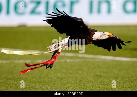 Deventer, Niederlande. Februar 2025. DEVENTER, NIEDERLANDE - 2. FEBRUAR: Maskottchen Harly von Go Ahead Eagles vor dem niederländischen Eredivisie-Spiel zwischen Go Ahead Eagles und FC Twente in de Adelaarshorst am 2. Februar 2025 in Deventer, Niederlande. (Foto: Broer van den Boom/Orange Pictures) Credit: Orange Pics BV/Alamy Live News Stockfoto