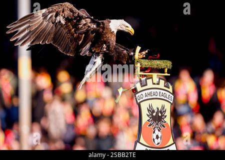 Deventer, Niederlande. Februar 2025. DEVENTER, NIEDERLANDE - 2. FEBRUAR: Maskottchen Harly von Go Ahead Eagles vor dem niederländischen Eredivisie-Spiel zwischen Go Ahead Eagles und FC Twente in de Adelaarshorst am 2. Februar 2025 in Deventer, Niederlande. (Foto: Broer van den Boom/Orange Pictures) Credit: Orange Pics BV/Alamy Live News Stockfoto
