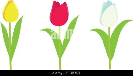Set aus verschiedenen bunten Tulpen. Frühling süße Blumen Stock Vektor